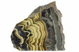 Schalenblende (Marcasite, Galena, Sphalerite) Slice #96773-1